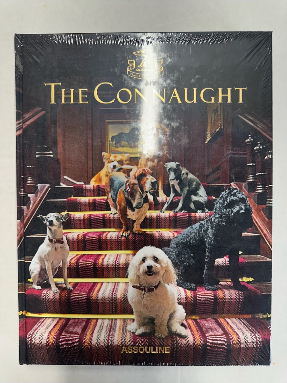 SEALED - The Connaught ASSOULINE BOOK